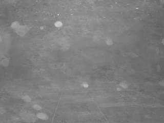 voyeurcam-casa-s... Live Webcam on CamSoda
