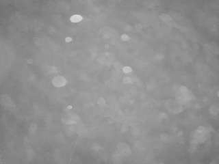 voyeurcam-casa-salsa-pool-1