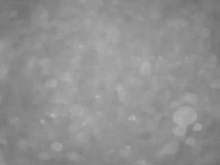 voyeurcam-casa-salsa-pool-1