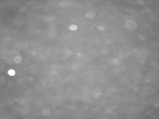 voyeurcam-casa-salsa-pool-1