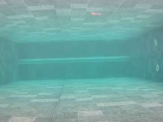 voyeurcam-casa-salsa-pool-1 webcam