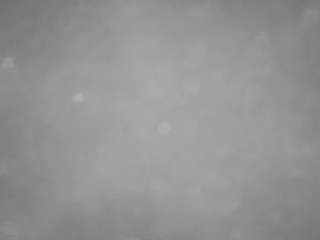 voyeurcam-casa-salsa-pool-1