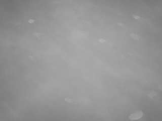 voyeurcam-casa-salsa-pool-1