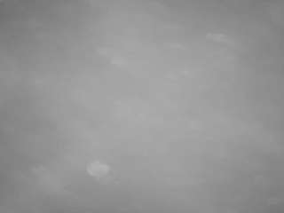 voyeurcam-casa-salsa-pool-1