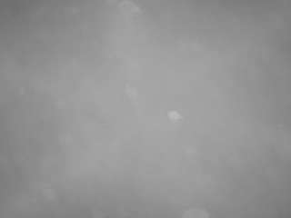 voyeurcam-casa-salsa-pool-1
