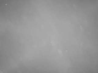 voyeurcam-casa-salsa-pool-1
