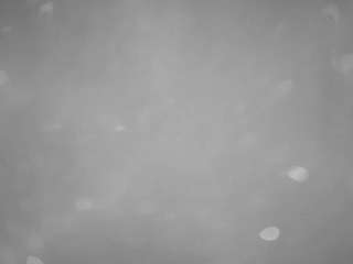 voyeurcam-casa-salsa-pool-1