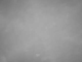 voyeurcam-casa-salsa-pool-1