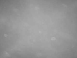 voyeurcam-casa-salsa-pool-1