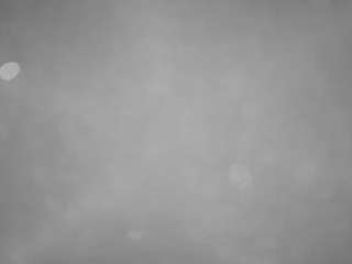 voyeurcam-casa-salsa-pool-1