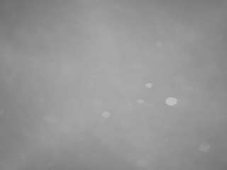 voyeurcam-casa-salsa-pool-1
