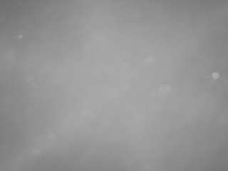 voyeurcam-casa-salsa-pool-1