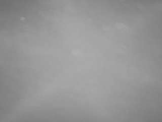 voyeurcam-casa-salsa-pool-1