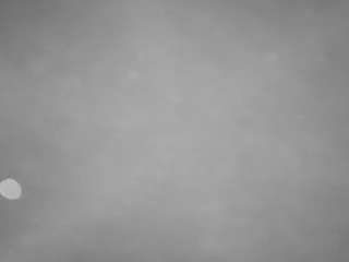 voyeurcam-casa-salsa-pool-1