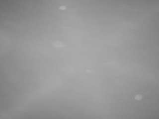 voyeurcam-casa-salsa-pool-1