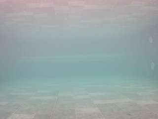 voyeurcam-casa-salsa-pool-1