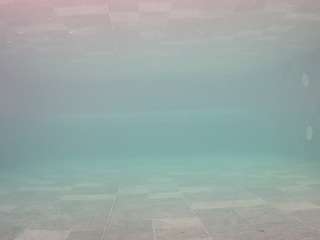 voyeurcam-casa-salsa-pool-1