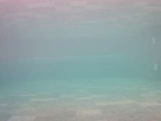voyeurcam-casa-salsa-pool-1