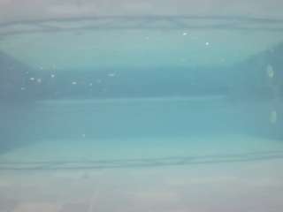 voyeurcam-casa-salsa-pool-1