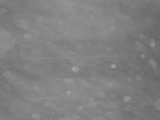 voyeurcam-casa-salsa-pool-1