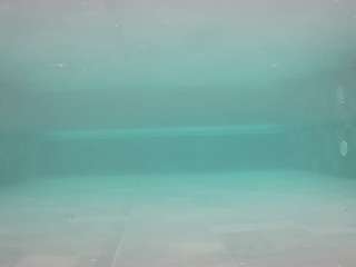 voyeurcam-casa-salsa-pool-1