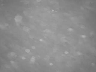 voyeurcam-casa-salsa-pool-1