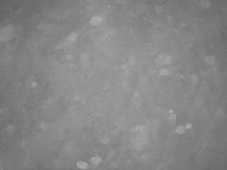 voyeurcam-casa-salsa-pool-1