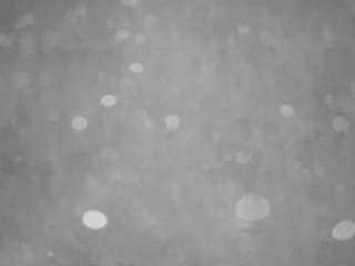 voyeurcam-casa-salsa-pool-1