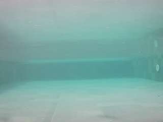 voyeurcam-casa-salsa-pool-1