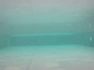 voyeurcam-casa-salsa-pool-1