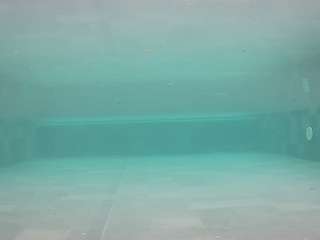 voyeurcam-casa-salsa-pool-1