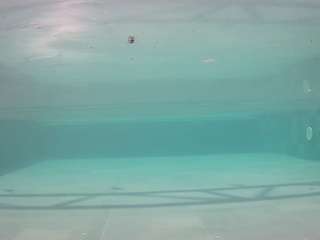 voyeurcam-casa-salsa-pool-1