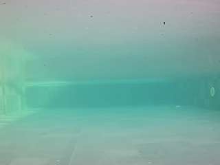 voyeurcam-casa-salsa-pool-1