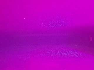 voyeurcam-casa-salsa-pool-1