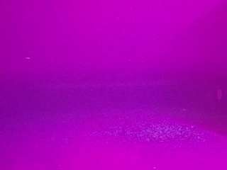 voyeurcam-casa-salsa-pool-1