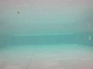 voyeurcam-casa-salsa-pool-1 - Live HD Webcam