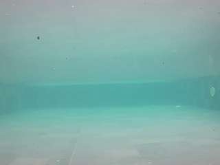 voyeurcam-casa-salsa-pool-1