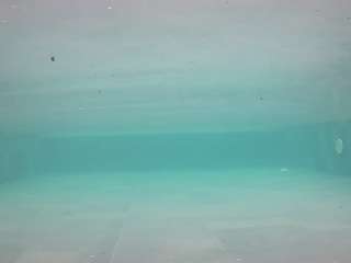 voyeurcam-casa-salsa-pool-1
