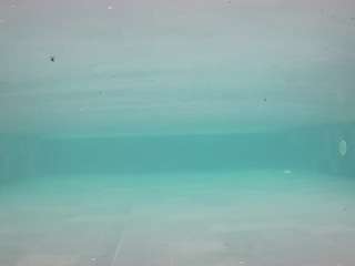 voyeurcam-casa-salsa-pool-1