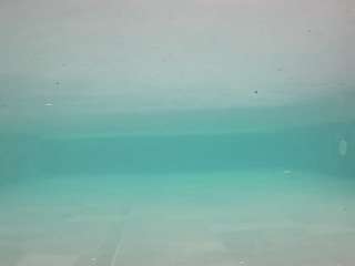 voyeurcam-casa-salsa-pool-1