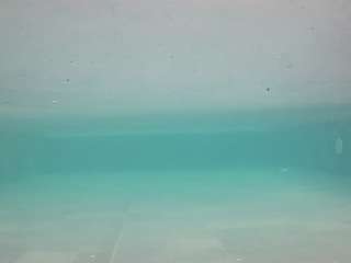 voyeurcam-casa-salsa-pool-1