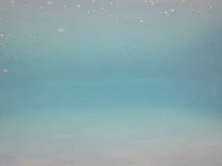 voyeurcam-casa-salsa-pool-1