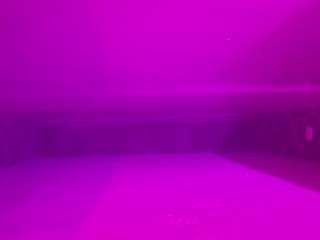 voyeurcam-casa-s... Live Webcam on CamSoda