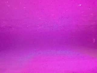 voyeurcam-casa-salsa-pool-1