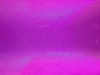 voyeurcam-casa-salsa-pool-1