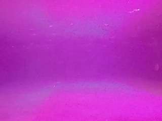voyeurcam-casa-salsa-pool-1