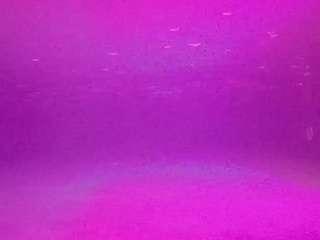 voyeurcam-casa-salsa-pool-1