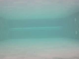voyeurcam-casa-salsa-pool-1