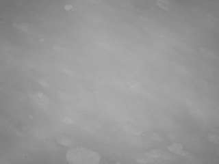 voyeurcam-casa-salsa-pool-1