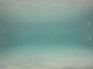 voyeurcam-casa-salsa-pool-1